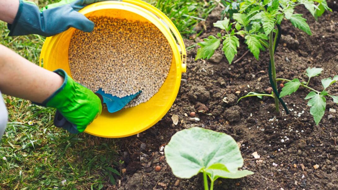 Lawn fertilizers for vegetable garden