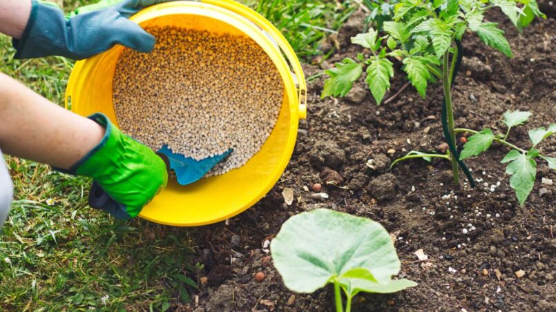 Lawn fertilizers for vegetable garden