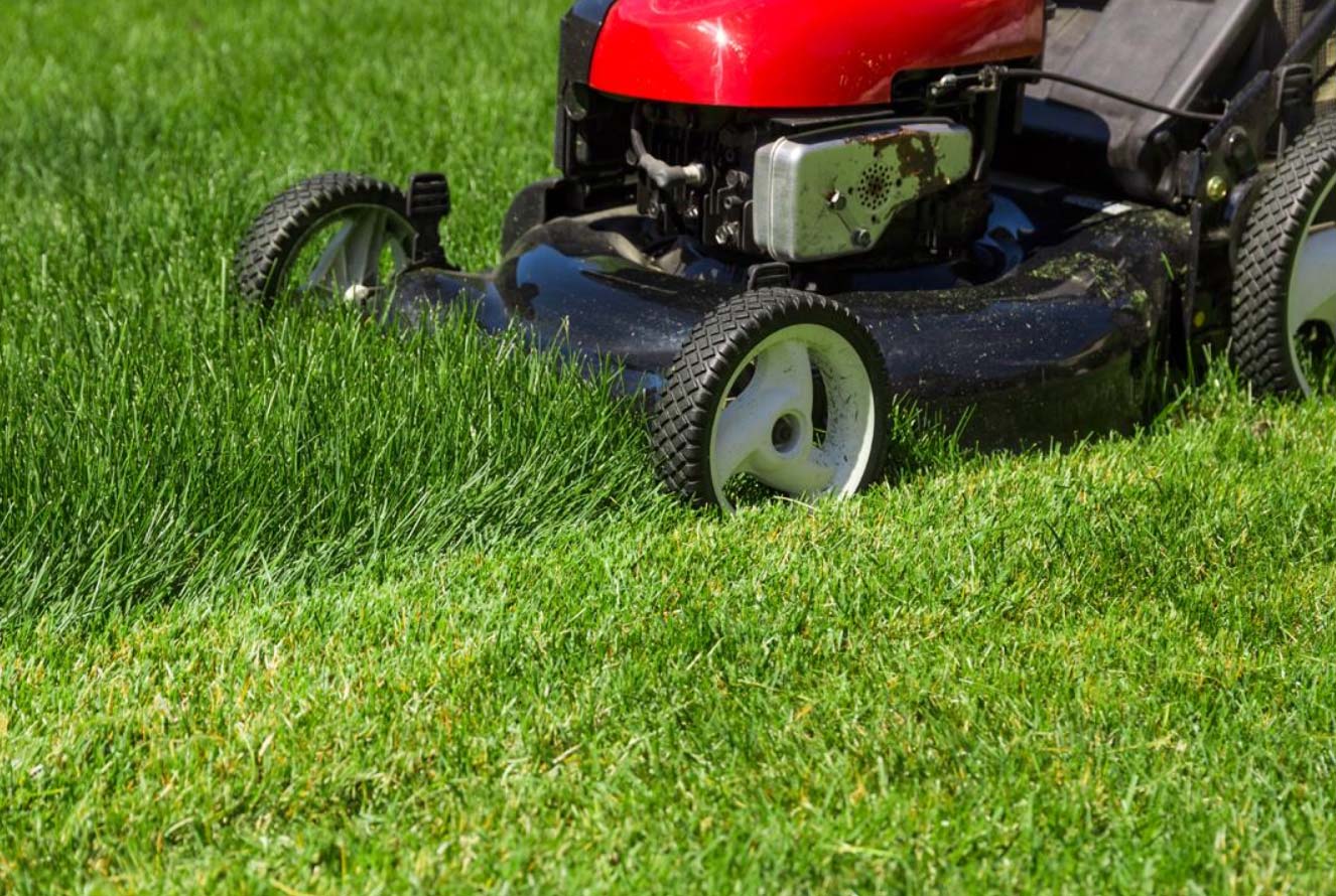 Mowing lawn at day