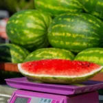 watermelon weight