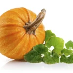 Pumpkin with leaves