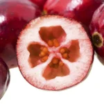 Red cranberry with seeds