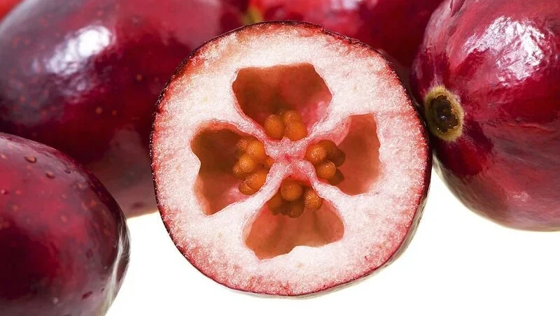 Red cranberry with seeds