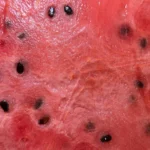 Red cut surface of watermelon