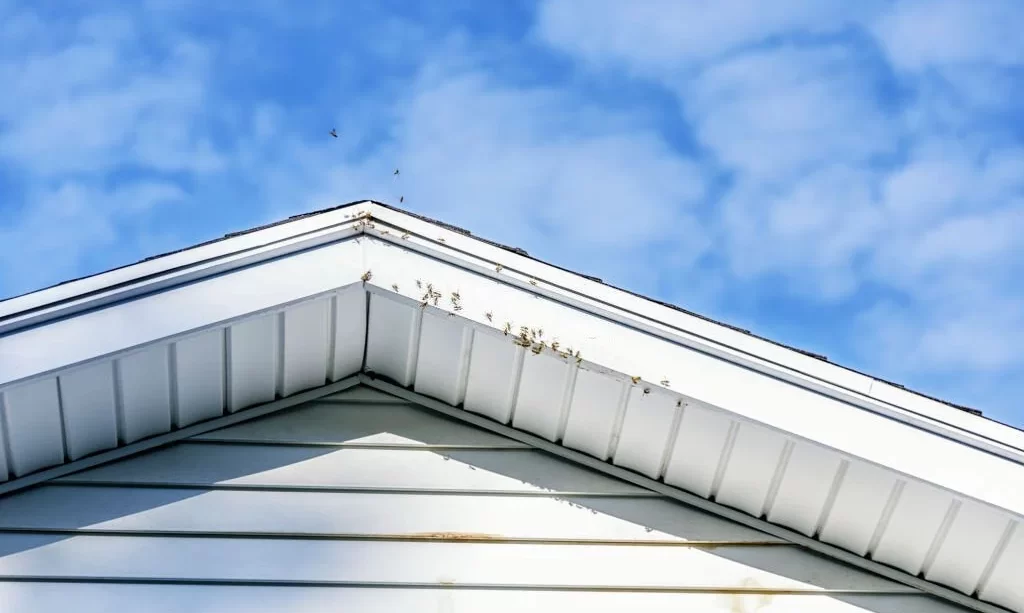 Bees in siding