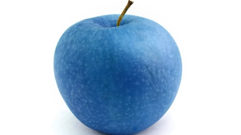 Blue apple