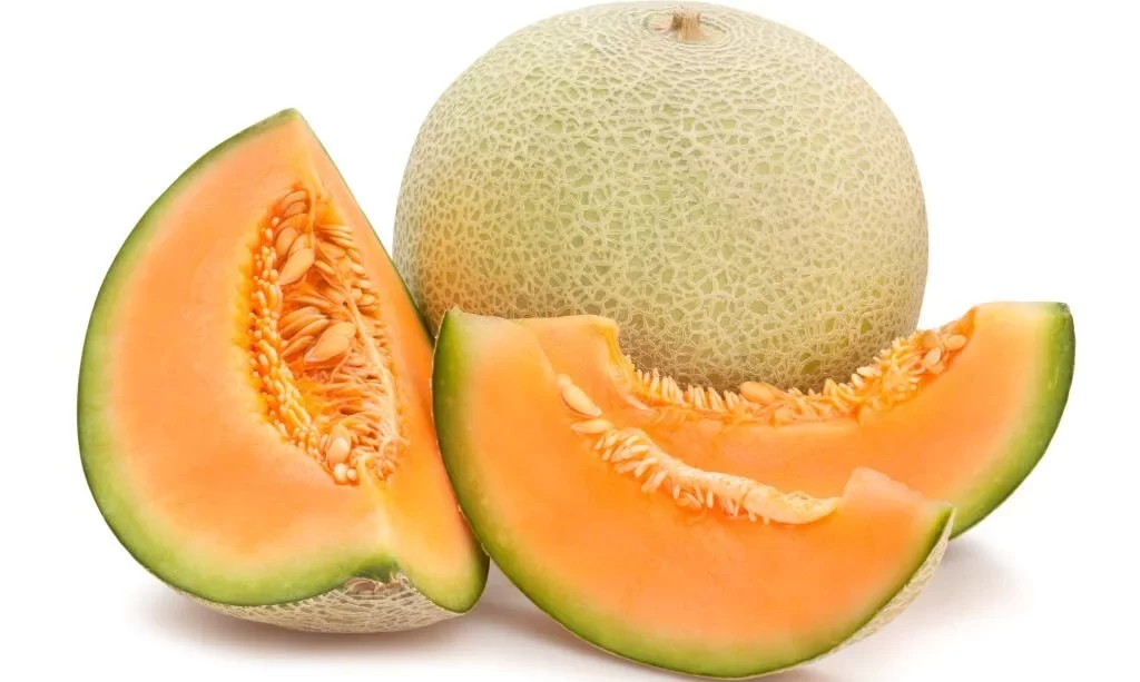 Cantaloupe melon with seeds