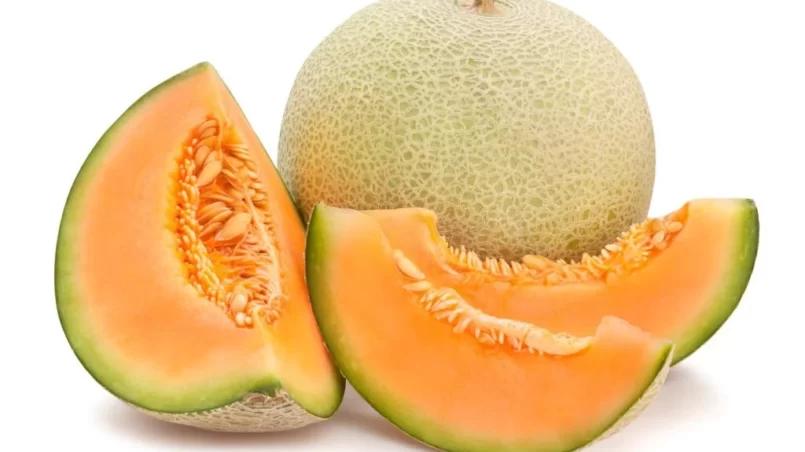 Cantaloupe melon with seeds
