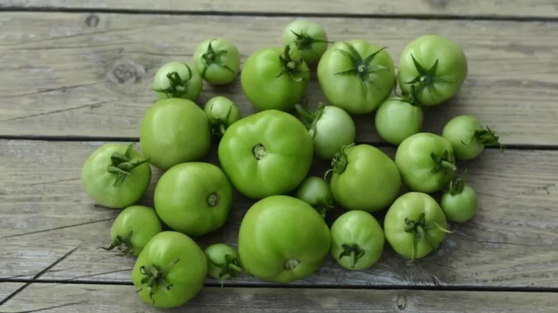 Green tomatoes