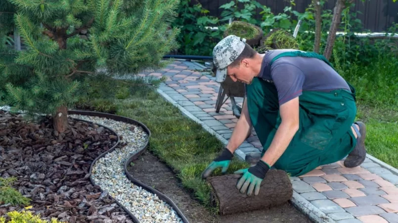 Landscape Gardener Laying Turf For New Lawn