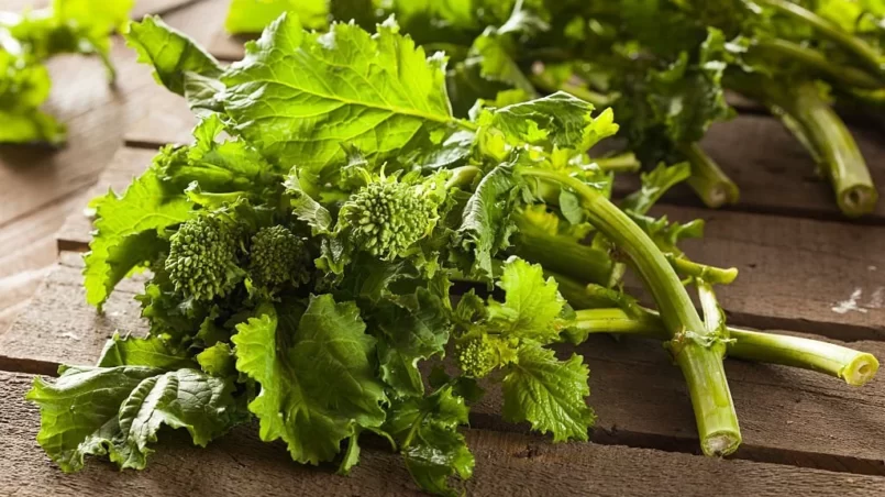 Organic Raw Green Broccoli Rabe Rapini