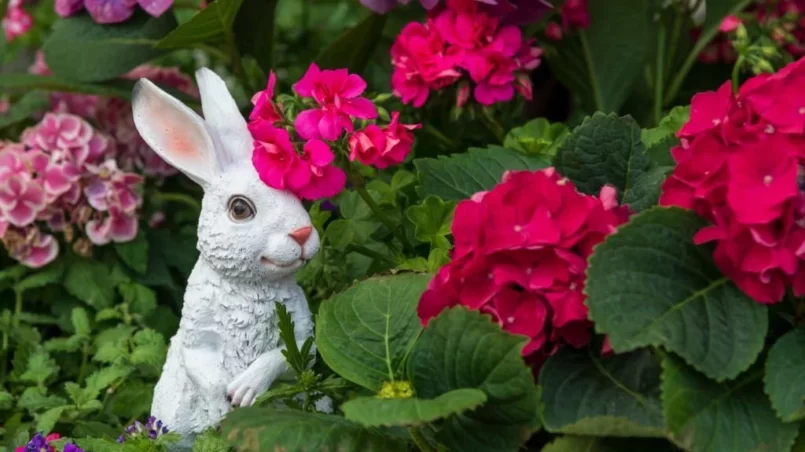 white rabbit stands in a flower bed near bright colorful geranium flowers