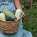 women holds zucchini