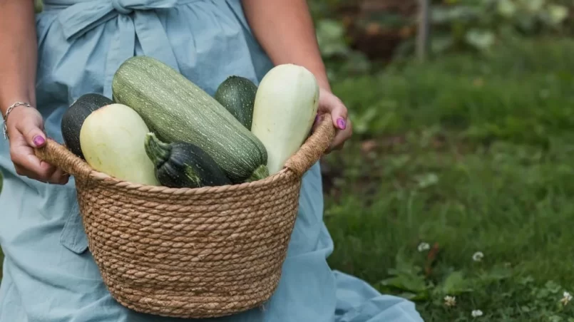 women holds zucchini