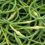 A bunch of freshly picked Garlic Scapes