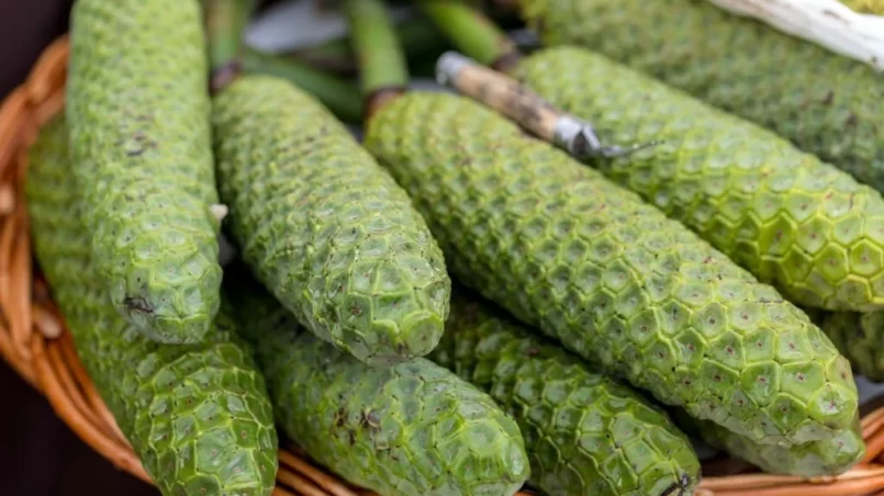 Ananas-banana fruit (Monstera deliciosa)