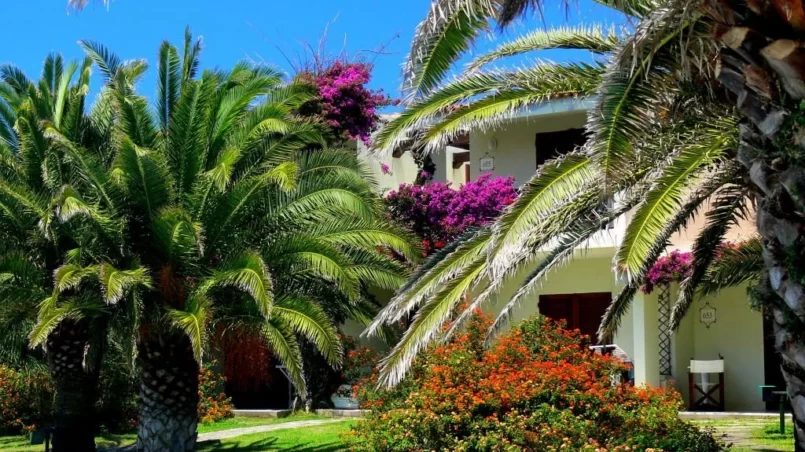 Apartment with flowers and palm trees