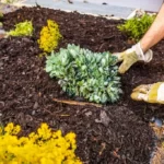 Bark mulch in a residential garden to control weed spreading