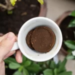 Coffee ground in a cup