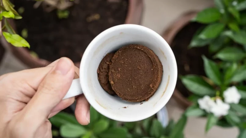 Coffee ground in a cup