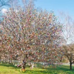 Colorful handmade Eastereggs on an apple tree