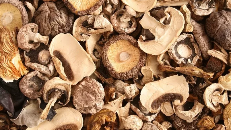 Dried mushrooms