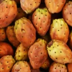 Edible fruits of cactus (prickly pear)