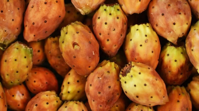 Edible fruits of cactus (prickly pear)