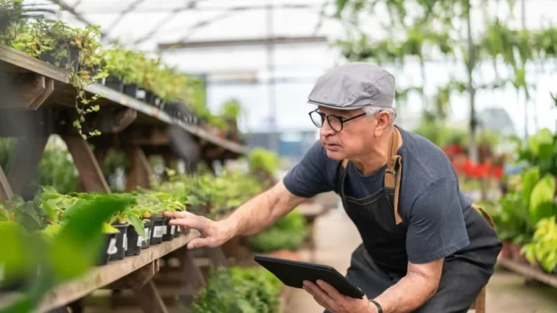 Farmer Examining Plants