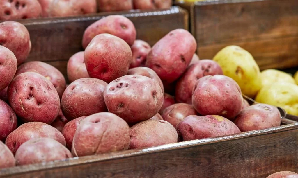 https://thegardenbugdetroit.com/wp-content/uploads/2023/10/Fresh-Organic-Red-Potatoes-1024x613.webp