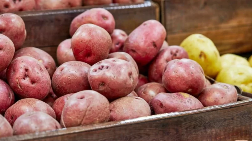 Fresh Organic Red Potatoes