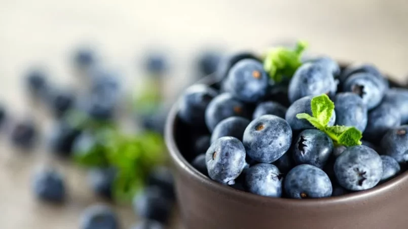 Fresh blueberries in a bowl