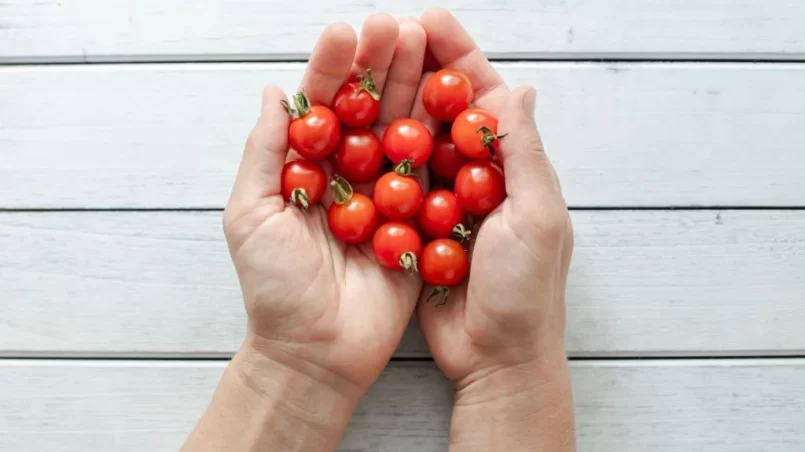 Hands holding cherry tomatoes