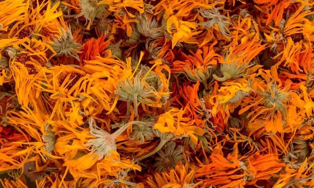 Calendula (Marigold) Flowers, Whole - 1 Lb