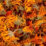 Heap of dry marigold calendula flowers