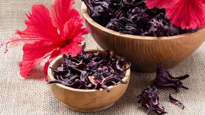 Hibiscus (Roselle, karkade) dry flowers in wooden bowls