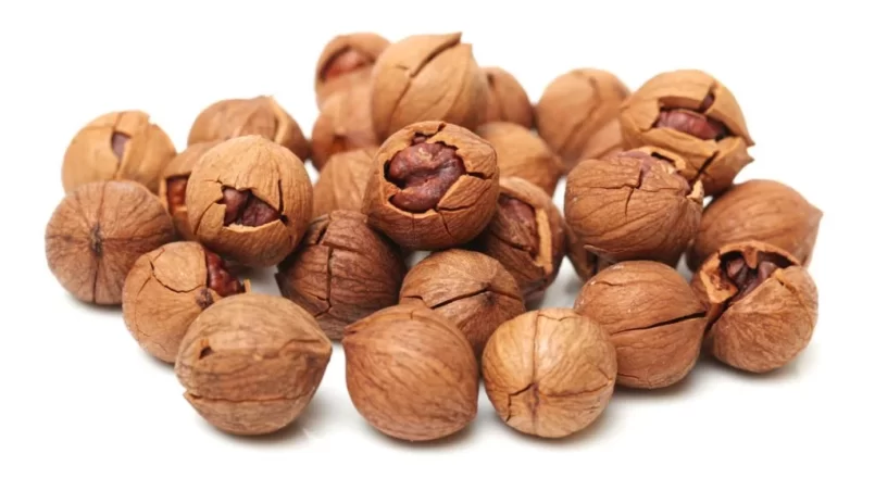 Hickory Nuts