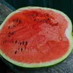 Piece of red ripe watermelon