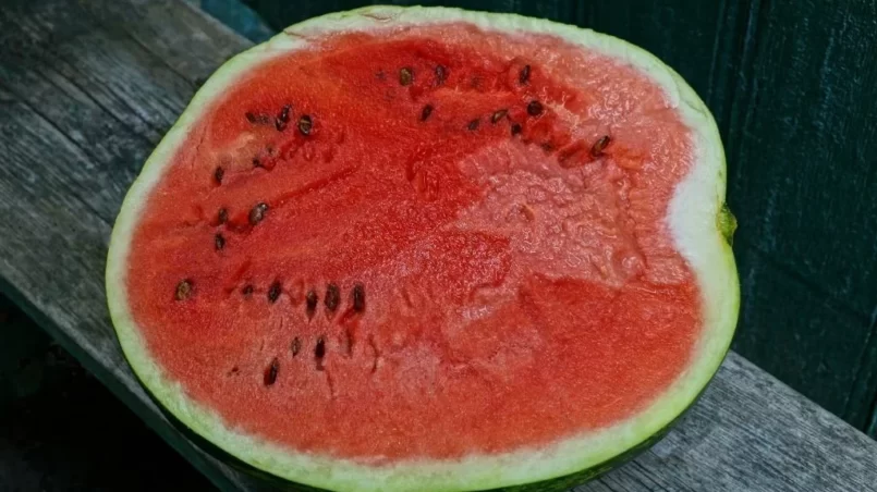 Piece of red ripe watermelon