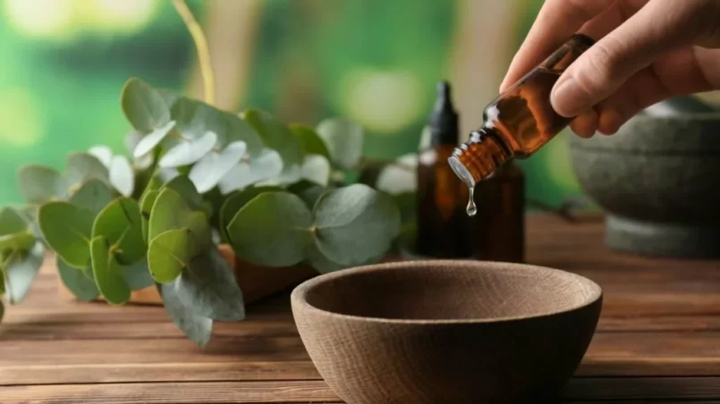 Pouring eucalyptus essential oil into bowl and eucalyptus leaves