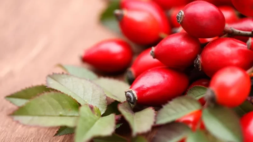 Rose Hip berries