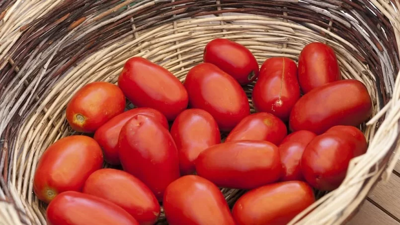 San Marzano Tomatoes