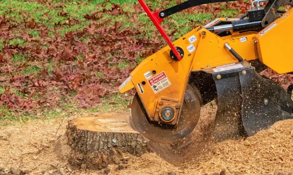 Stump Grinding A Tree