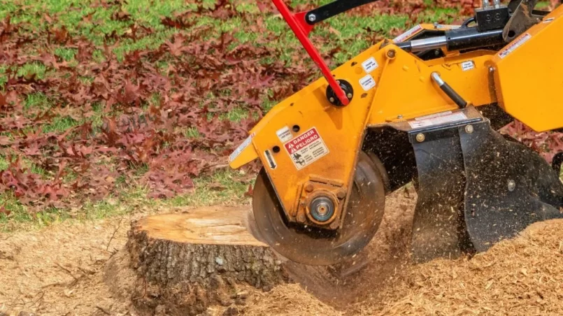 Stump Grinding A Tree