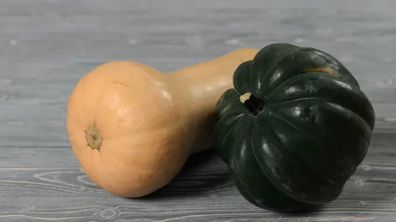 Acorn squash and butternut squash