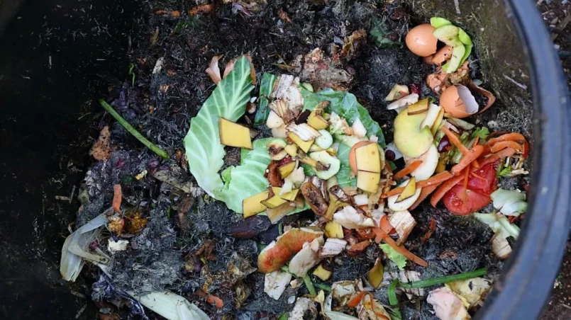 Compost bin