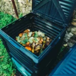Compost bin with organic waste