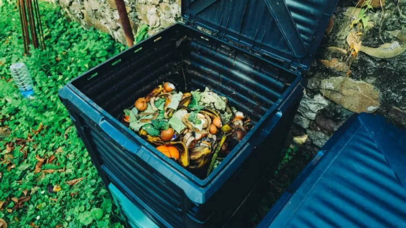 Compost bin with organic waste