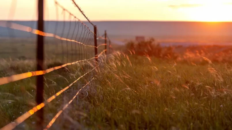 Fence in pasture and colorful sunset