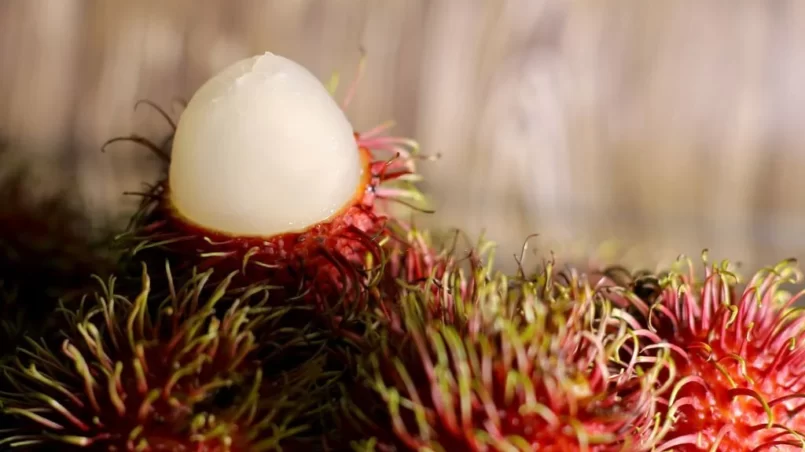 Fresh rambutan fruit